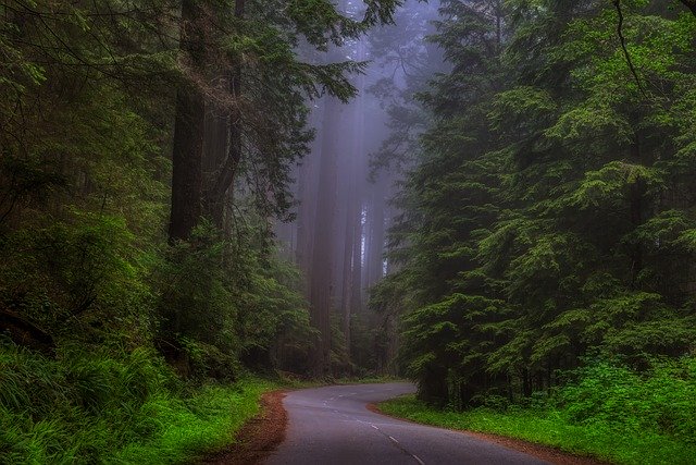 california-4053982_640